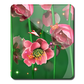 Pictures of Summer Bird Nature icon