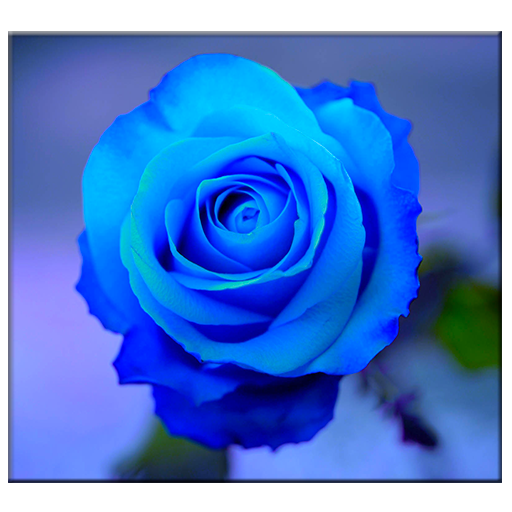 วอลล์เปเปอร์สีฟ้าเพิ่มขึ้น icon