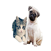 Ringtones Animal icon