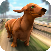 Max! Shepherd Dog in the Farm icon