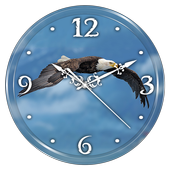 Eagle Clock Live Wallpaper icon