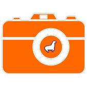 Camera Trap | Trail Camera icon