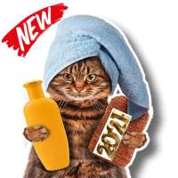 New Funny Cat Stickers For WhatsApp WAStickerApps