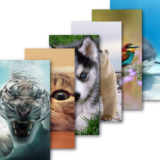 Animal Wallpaper أيقونة