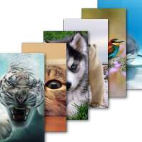 Animal Wallpaper on 9Apps