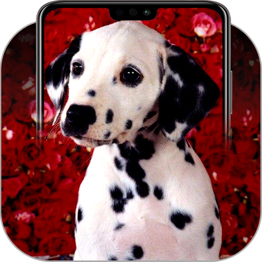 Dalmatian Wallpapers icon
