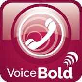 Voice Bold