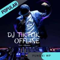 DJ TIKTOK LENGKAP NEW OFFLINE