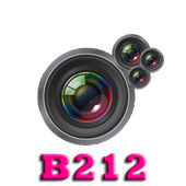 ikon B212 Camera Pro
