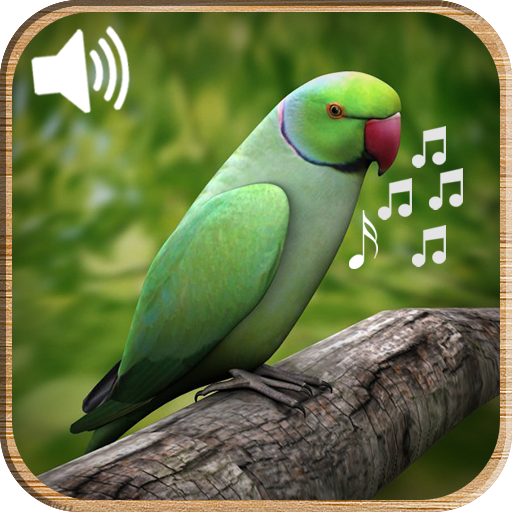 Latest Bird Ringtones 2019 icon