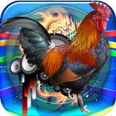 Rooster Sound Free