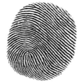 Mobile Detective icon