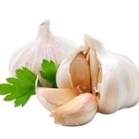 Health Benefits of Garlic on 9Apps