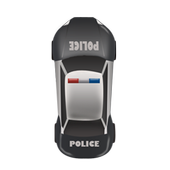 Polish Car Racing icon