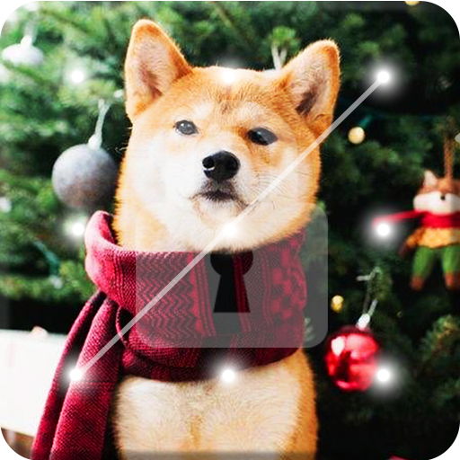 Beautiful Shiba Inu Dog Screen Lock icon