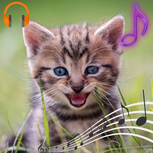 Cat Sounds and Ringtones icon
