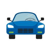 Car Information Program