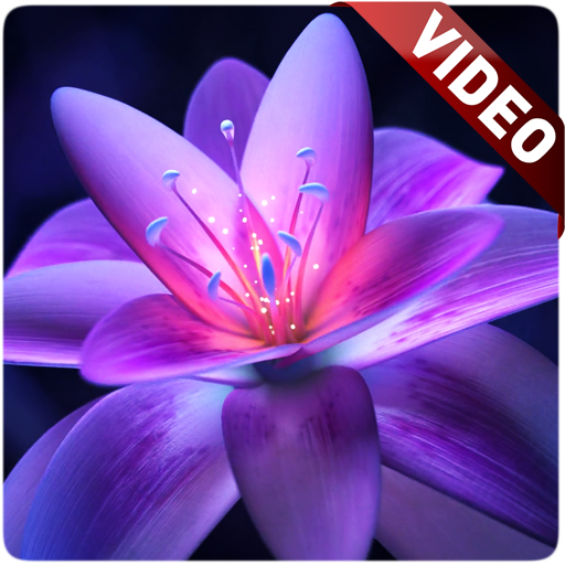 Flower Video Wallpaper icon