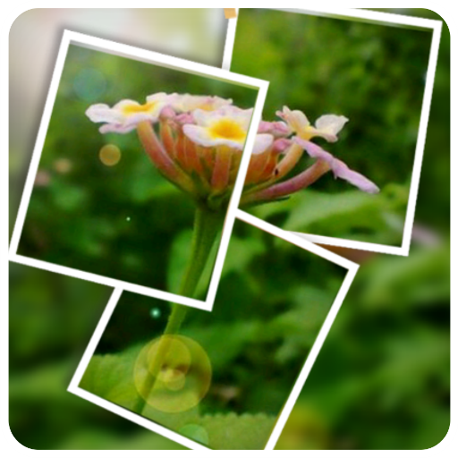 CIV Photo Style - PIP Photo Fame icon