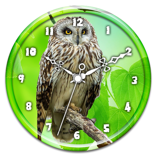 Owl Clock Live Wallpaper icon