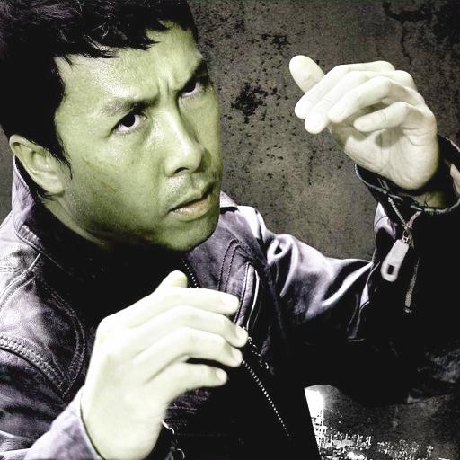 Donnie Yen Kungfu Movie icon