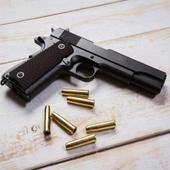 Guess The Weapon icon