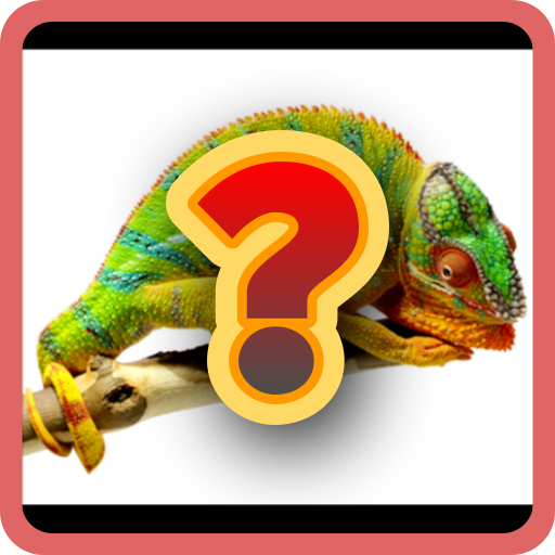 Animals Quiz icon