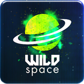 Wild Space icon
