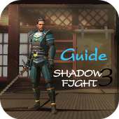 Shadow Fight 3