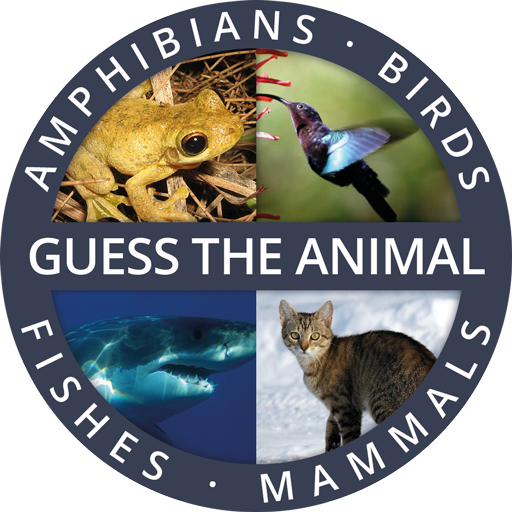 Guess the Animal Quiz App: Guessing Games for Free icon