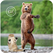 Funny Gif Images icon