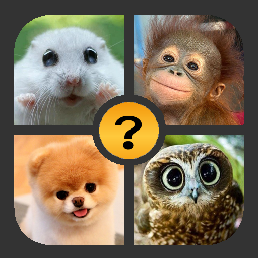 4 Foto 1 Parola - Giochi 2019 icon