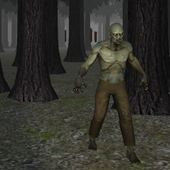 Survival City 3D icon