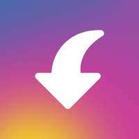 Insget - unduh video dan foto dari Instagram