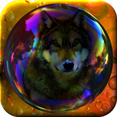 Bubbles icon