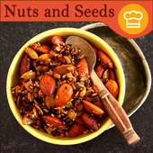 Nuts and Seeds Recipes on 9Apps