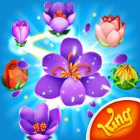 Blossom Blast Saga 3 gewinnt! on 9Apps