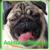 Animal Sounds Dashboard icon
