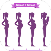 Embarazo Semana a Semana icon
