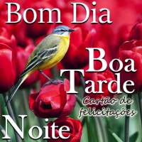 Bom dia Boa Tarde Toa Noite