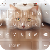keyboard - Boto : Cute Kitty icon