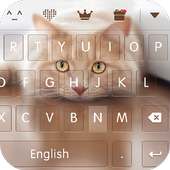 keyboard - Boto : Cute Kitty
