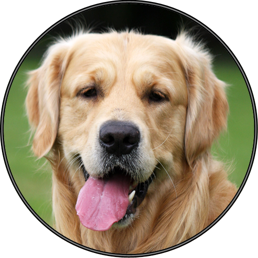 Cute Dog Puppy Sounds icon