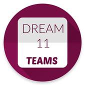 pro tips dream11 icon