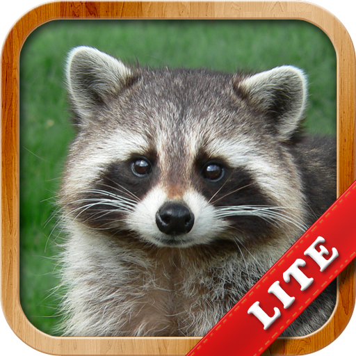 Animals for Kids icon