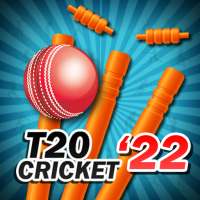 T20 Cricket 2022