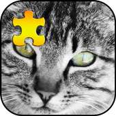 Cute Cats Jigsaw Puzzle