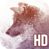 Wolf HD Wallpapers for Free icon