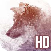 Wolf HD Wallpapers for Free on 9Apps
