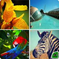 Skid15 : My picture photo puzzle